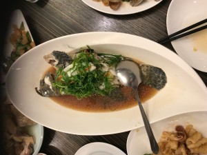 IMG_0846