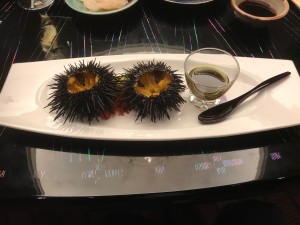 IMG_0222
